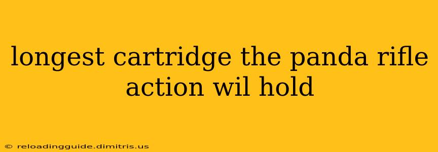 longest cartridge the panda rifle action wil hold