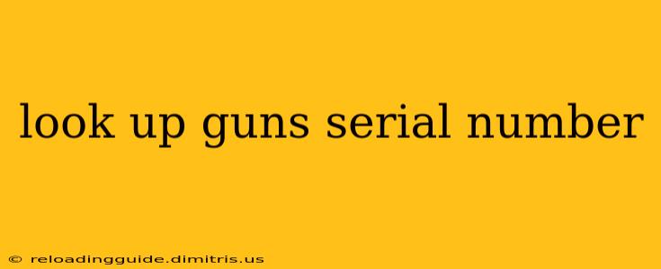 look up guns serial number