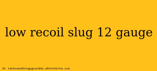 low recoil slug 12 gauge