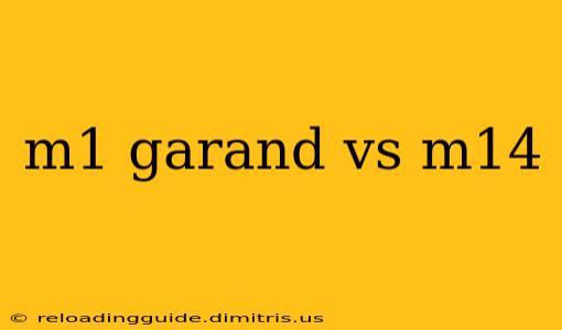 m1 garand vs m14