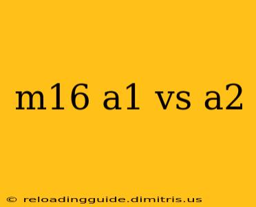 m16 a1 vs a2