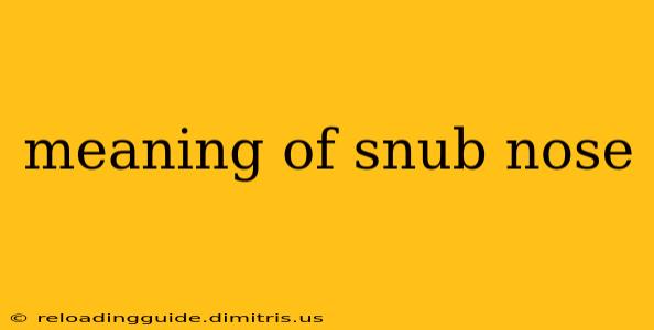 meaning of snub nose