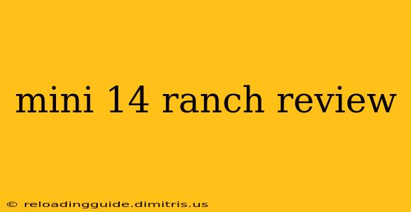 mini 14 ranch review