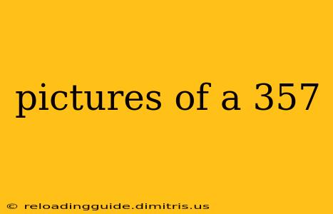 pictures of a 357