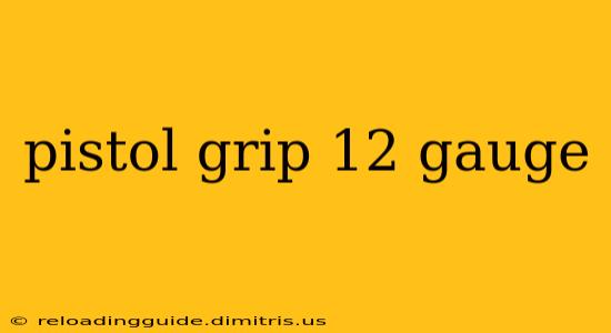 pistol grip 12 gauge