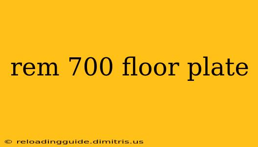 rem 700 floor plate