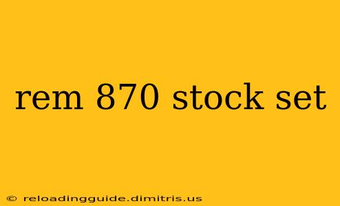 rem 870 stock set