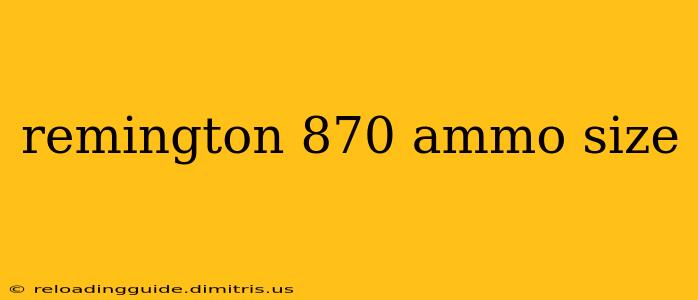 remington 870 ammo size