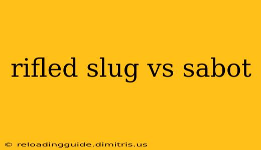 rifled slug vs sabot