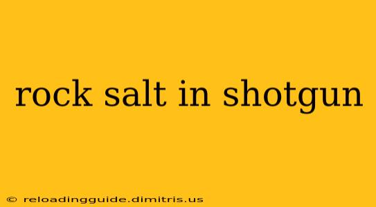 rock salt in shotgun