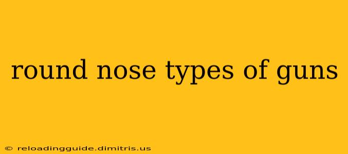 round nose types of guns