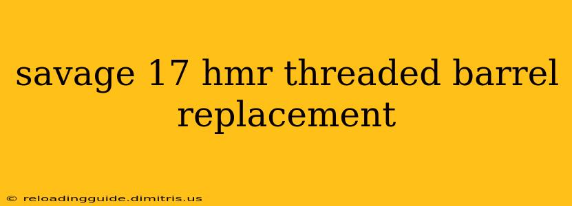 savage 17 hmr threaded barrel replacement