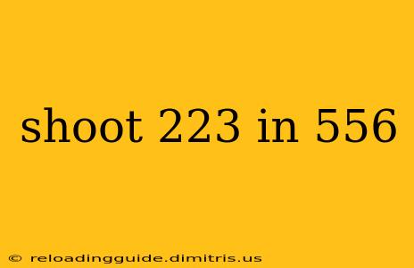 shoot 223 in 556