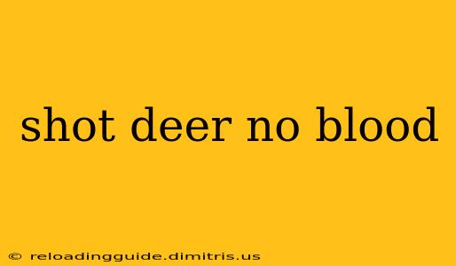 shot deer no blood