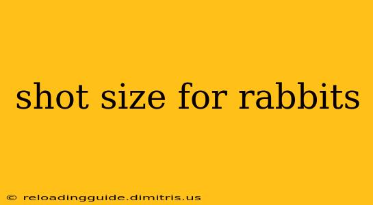 shot size for rabbits