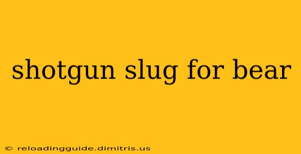 shotgun slug for bear