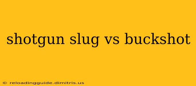 shotgun slug vs buckshot