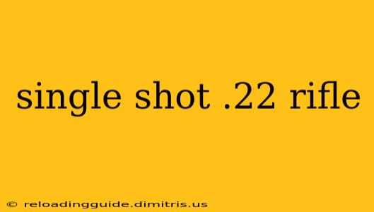 single shot .22 rifle