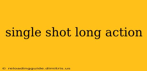 single shot long action