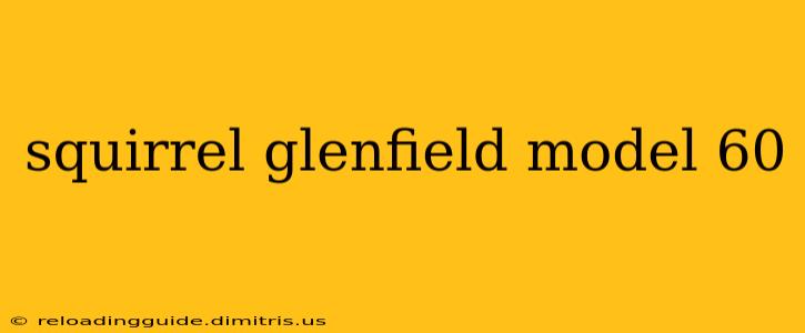 squirrel glenfield model 60