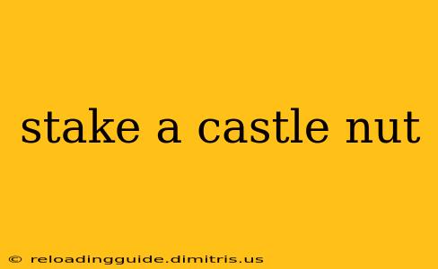 stake a castle nut