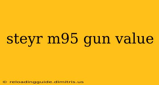 steyr m95 gun value