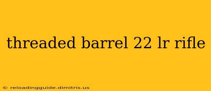 threaded barrel 22 lr rifle