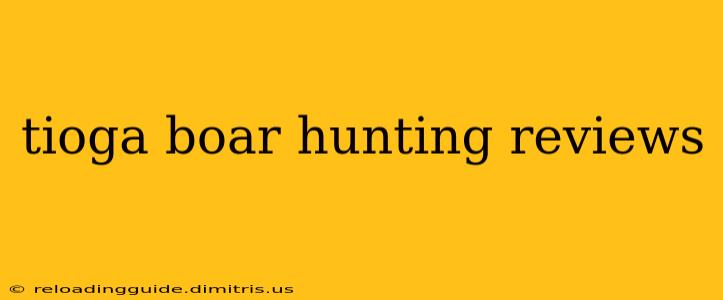 tioga boar hunting reviews