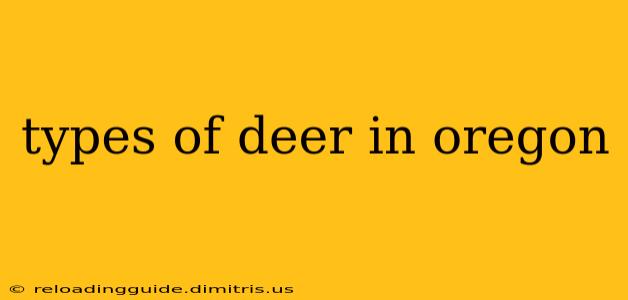 types of deer in oregon