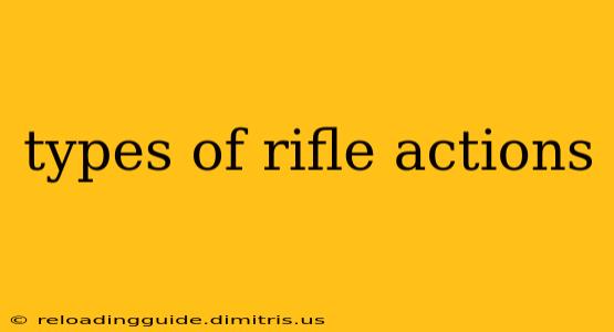 types of rifle actions