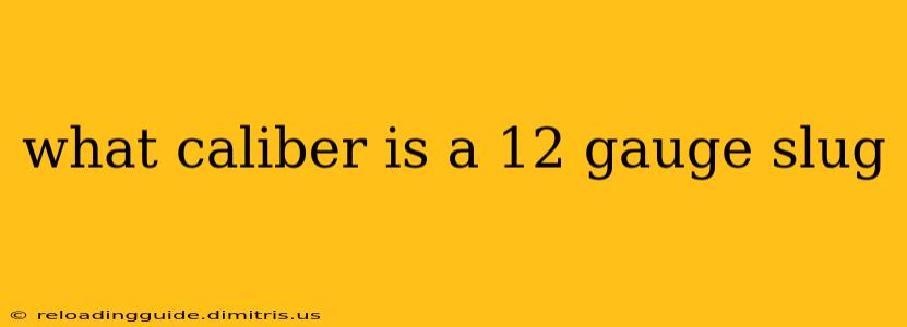 what caliber is a 12 gauge slug