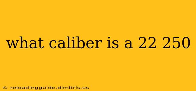 what caliber is a 22 250