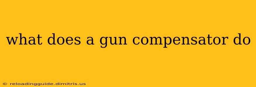 what does a gun compensator do