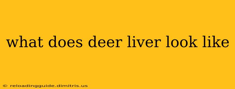 what does deer liver look like