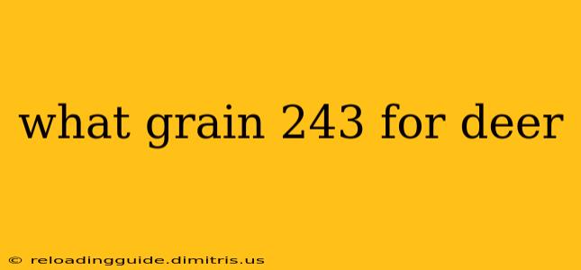 what grain 243 for deer