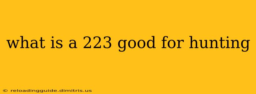 what is a 223 good for hunting