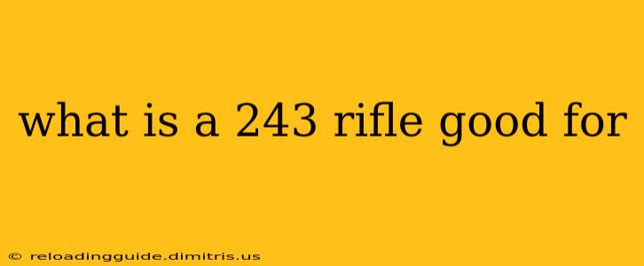 what is a 243 rifle good for