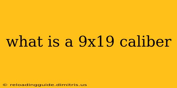 what is a 9x19 caliber