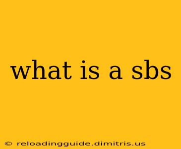 what is a sbs