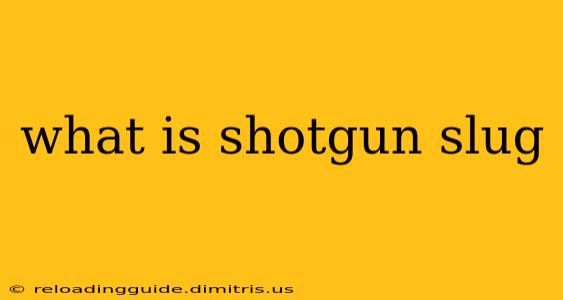 what is shotgun slug