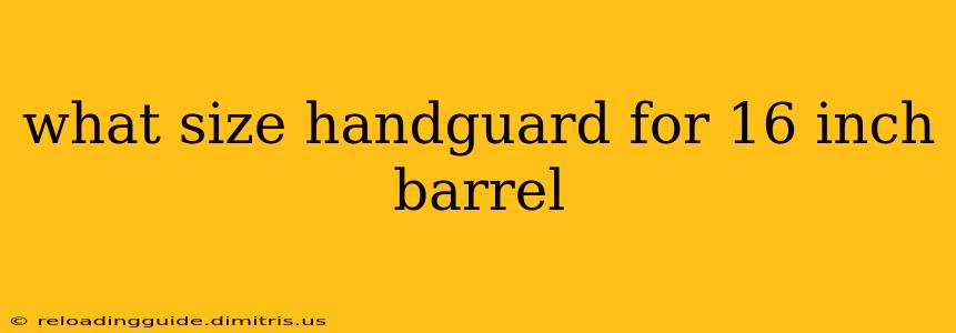 what size handguard for 16 inch barrel