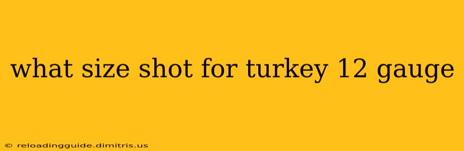 what size shot for turkey 12 gauge