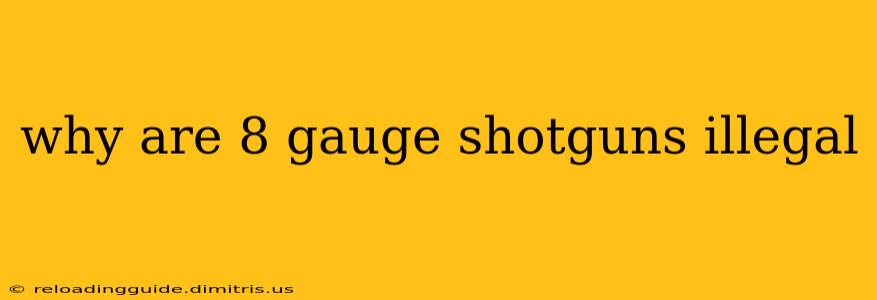 why are 8 gauge shotguns illegal