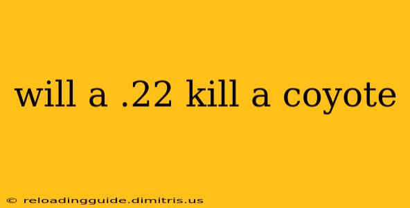 will a .22 kill a coyote