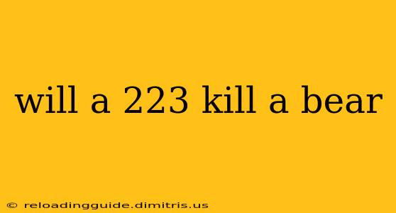 will a 223 kill a bear