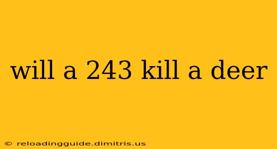 will a 243 kill a deer