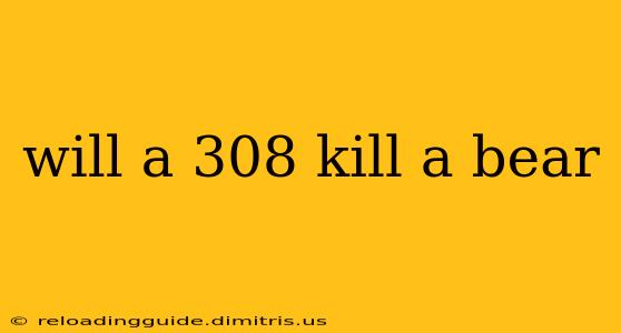 will a 308 kill a bear