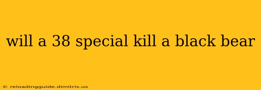 will a 38 special kill a black bear