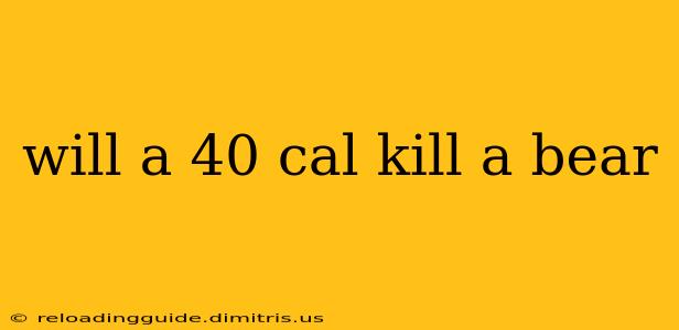 will a 40 cal kill a bear