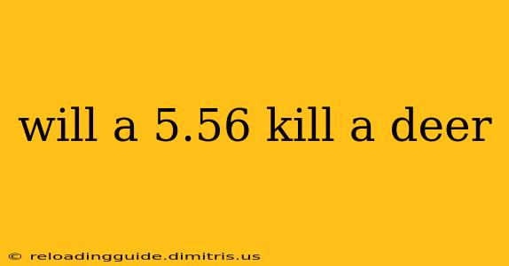 will a 5.56 kill a deer